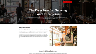 Thumbnail of localbizdirectorynow.com