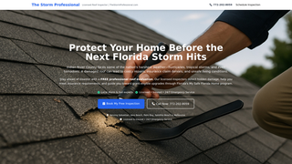 Thumbnail of thestormprofessional.com