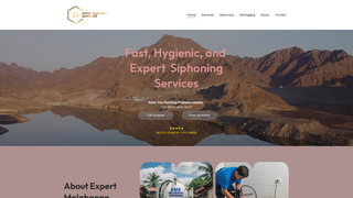 Thumbnail of expertmalabananservices.com