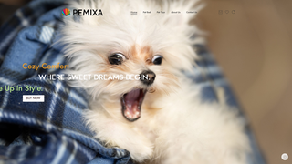 Thumbnail of pemixa.com