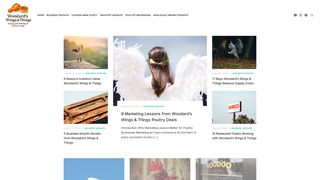 Thumbnail of woodardwings.com
