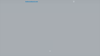Thumbnail of bobsscubacal.com