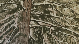 Thumbnail of emilymcallisterart.com