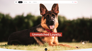 Thumbnail of kivulikennel.com
