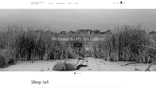 Thumbnail of lesterblairgallery.com