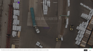 Thumbnail of asiamileshunter.com