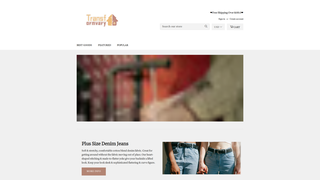 Thumbnail of transformvary.com
