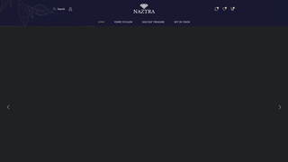 Thumbnail of naztra.com