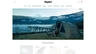 Thumbnail of stayactiveandplay.com