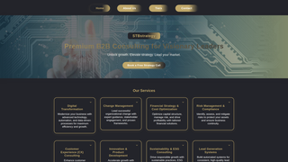 Thumbnail of stbstrategy.com