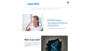 Thumbnail of reganwater.com