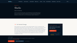 Site preview