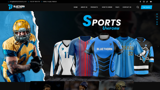 Thumbnail of bluethornindustry.com
