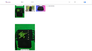 Thumbnail of hsunnahbazar.com