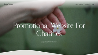 Thumbnail of tinycauses.com