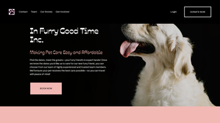 Thumbnail of infurrygoodtime.com