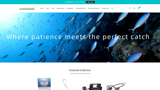 Thumbnail of promarinetackle.com