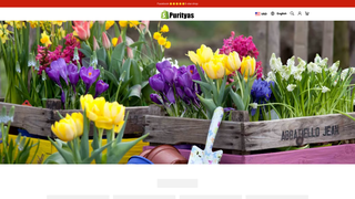 Thumbnail of purityas.com