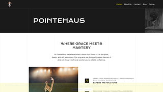 Thumbnail of pointehaus.com