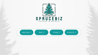 Thumbnail of sprucebiz.com