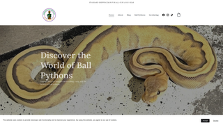 Thumbnail of ecreptiles.com