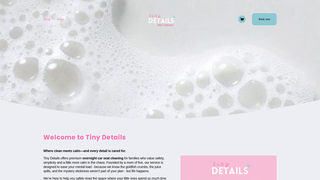 Thumbnail of tinydetailswv.com