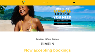 Thumbnail of tourwithpimpin.com