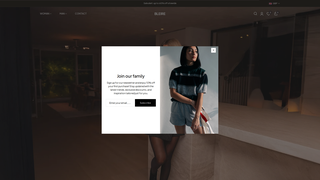 Thumbnail of bleire.com