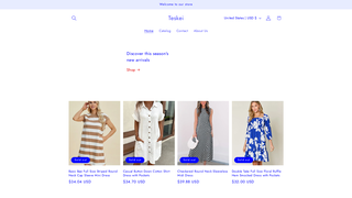 Thumbnail of teskei.com