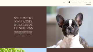 Thumbnail of phenomenalfrenchtons.com