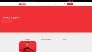 Thumbnail of qwikfitgh.com