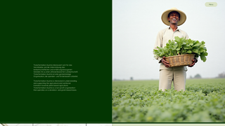 Thumbnail of transfarmation-austria.com