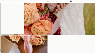 Thumbnail of theconfettiavenue.com