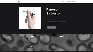 Thumbnail of romerosalvaje.com