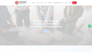 Screenshot of ielssf.org