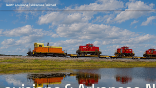 Screenshot of nlarr.net