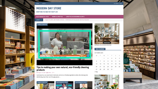 Thumbnail of moderndaystore.com