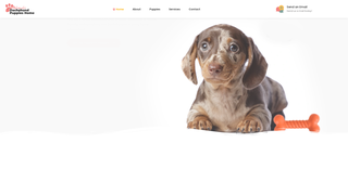 Thumbnail of minidoxiedachshundpuppieshomes.com
