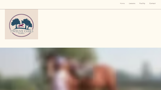 Thumbnail of twelveoaksstable.com