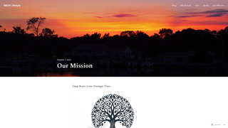 Thumbnail of brohlife.org