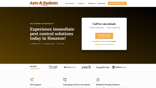 Thumbnail of antsrodentshouston.com