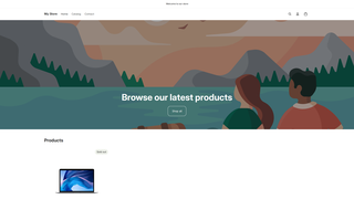 Thumbnail of findyourlaptops.com