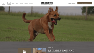 Screenshot of burkeysfoxredlabradorsandmainecoons.com