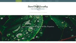 Thumbnail of seconddraftcounseling.com