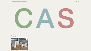 Thumbnail of cas-canvas.com