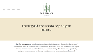 Thumbnail of thespruceacademy.com