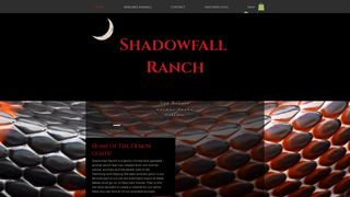 Thumbnail of shadowfallranch.com