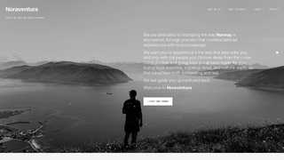 Thumbnail of noraventura.com