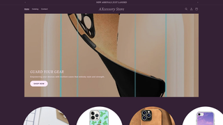 Thumbnail of axcessorystore.com