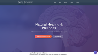 Thumbnail of sparkschiropractor.com